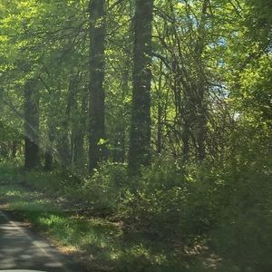 Meet your Posher, Bertila